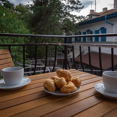 димови * ソゾポル